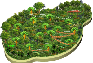 Course Map